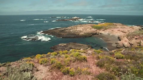 HD Footage of Point Lobos State Natural Reserve Stock Footage 317341608