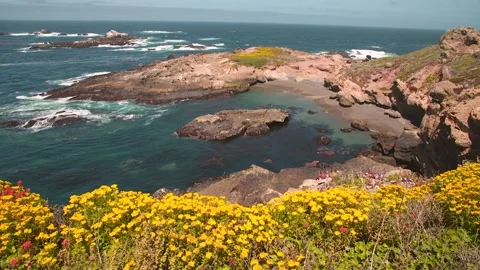 HD Footage of Point Lobos State Natural Reserve Stock Footage 317341624