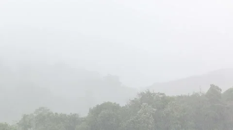 HD footage of Rain falling in cloudforest on the south of Thailand Video stock 51297562
