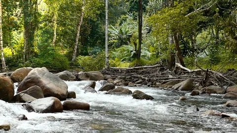 HD footage of Rive with rock in deep forest in Slow motion, South of Thailand Video stock 70917161