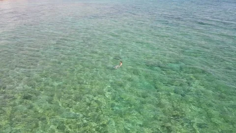 HD footage of a single swimmer Video stock 149100102