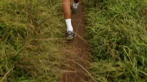 HD footage tracking a hiker walking on bushes in Galapagos Island, Ecuador Vídeos de archivo 79062653