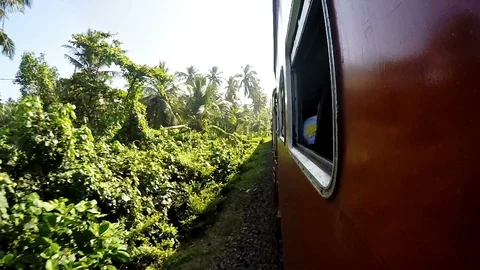 HD Footage of train going through the jungle in Sri Lanka Stock Footage 112226884