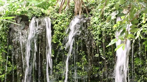HD Footage of waterfall in forest Stock Footage 56519103