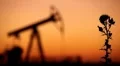 HD Fossil Fuel Energy, Oil Pump, Pumpjack, Old Pumping Unit, Jack Pump, Sunset HD Footage