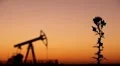 HD Fossil Fuel Energy, Oil Pump, Pumpjack, Old Pumping Unit, Jack Pump, Sunset HD Footage
