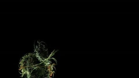 HD Fractals Stock Footage 451733