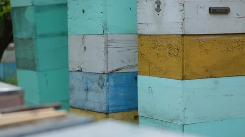 HD General plan on the beehouses stannding one on the other going from up to Video stock 97525442