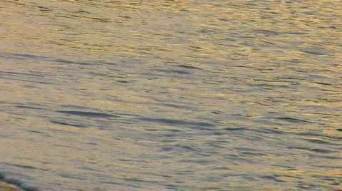 HD Gentle waves on a sandy beach Stock Footage 597968