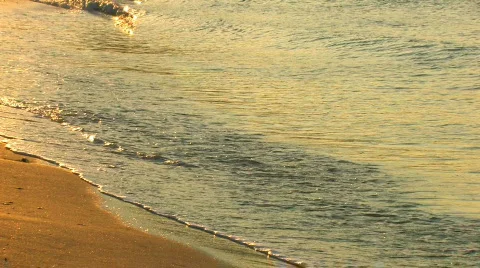 HD Gold waves on a sandy beach in sunrise, closeup Stock Footage 597997