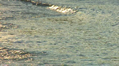 HD Gold waves on a sandy beach in sunrise, closeup Stock Footage 598015