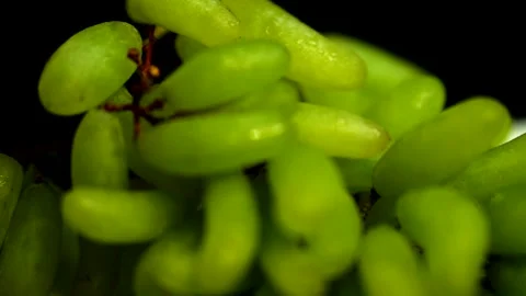 HD Grapes Stock Footage 168360401