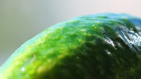 HD Green cucumber rotating Video stock 885120