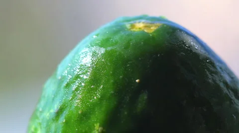 HD Green cucumber rotating Video stock 908237