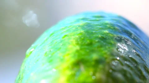 HD Green cucumber rotating Video stock 908245