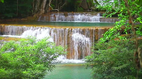 HD: Green tree and flowing river in rainforest, 1920x1080 Stock Footage 49041263
