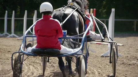 HD - Harness Racing. rear view Stock Footage 40648102