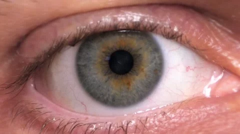 HD - Identification. Digital Retinal Scan. Close-up Stock Footage 56251066