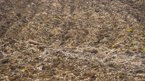 HD The implement of a tractor plowing the land of cultivation Stock Footage 92845443