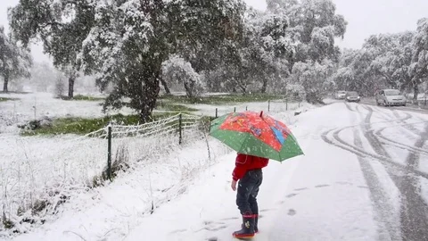 HD It snows in the field while a child shelters with his umbrella Stock Footage 82619440