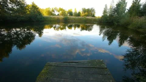 HD - Jump into the Pond Video stock 12049922