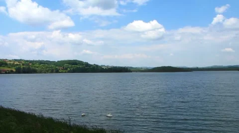 HD: Lake With Swans Stock Footage 7906757