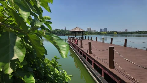 HD landscape video (24) Stock Footage 315848226