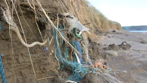 HD litter in a sand dune on a Welsh beach, UK 動画素材 186469760