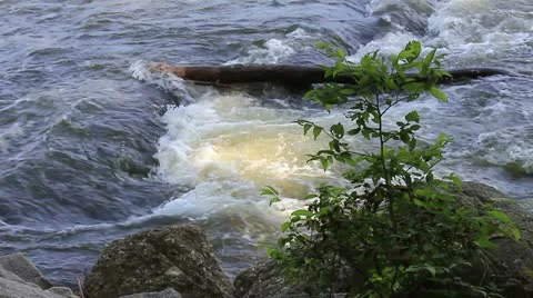 Hd a log in a turbulent river Stock Footage 11058706