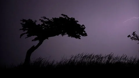HD Massive Electrical Storm Lightning Bolt Montage with Silhouetted Tree Stock Footage