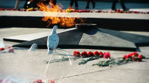 HD - Memorial flame Stock Footage 5502165