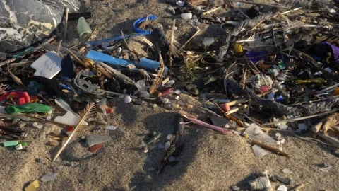 HD microplastics washed up along a strandline on a Welsh beach Видео 186470651