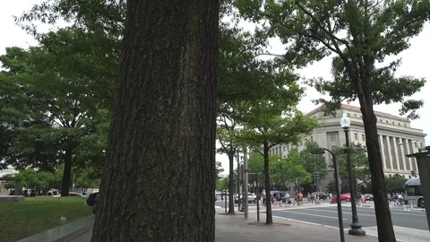 HD | Monument in Washington DC Stock Footage 77070711