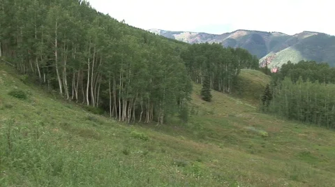 HD Mountain Pan 2 Vídeo Stock 379566