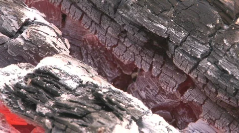 HD Open wood fire Stock-Footage 742256