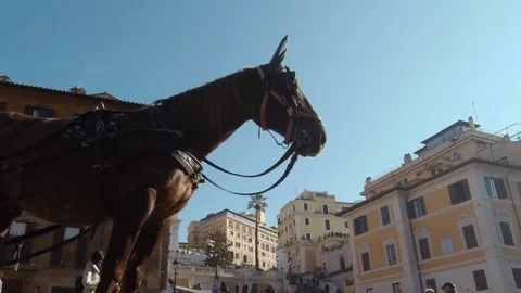 HD Panning Roma - Piazza di Spagna The famous Stairsway with Horse in Foreground Stock Footage 85303079