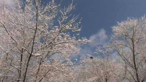 HD Panorama of winter landscape  Stock-Footage 741993