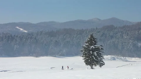 HD: Panoramic View Of People Cross-Country Skiing On A Sunny Day Stock Footage 987527