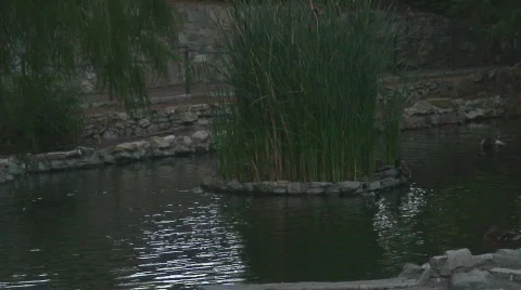 HD Parks Series Stock Footage 533416
