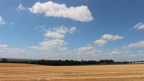 HD quality of yellow Fields Stock Footage 93256561