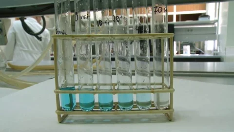 HD Rack with test tubes in a laboratory Stock Footage 82618503
