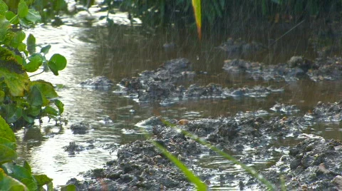 HD Rain water puddle, closeup Stock Footage 595446