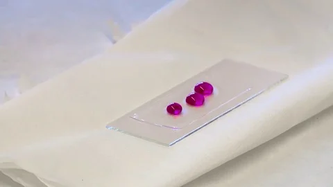 HD A researcher prepares a sample for the microscope Video stock 82618446