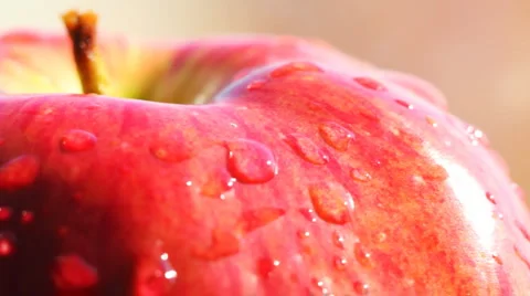 HD Rotating red apple macro Video stock 885092