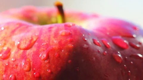 HD Rotating red apple macro Video stock 885928