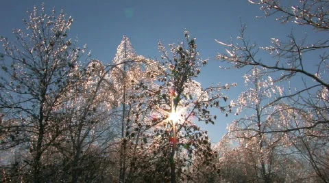 HD Silent winter sunset Stock Footage 623613