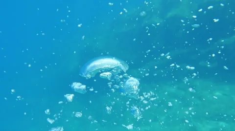 HD Slow-Mo: Water Bubbles Who Changes Shape Vidéo 44997892