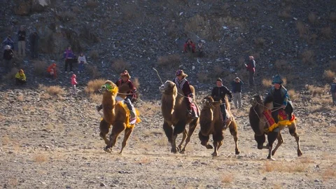 HD, Slow motion. Camel race in Mongolia Stock Footage 99362904