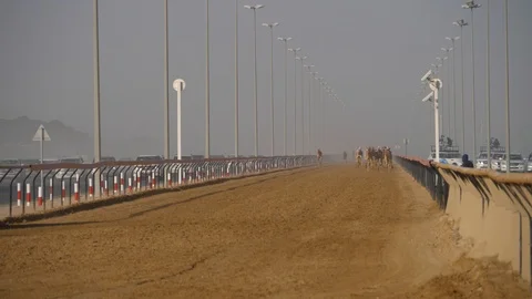 HD, Slow motion camel racing in Dubai Stock Footage 108379338