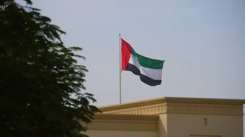 HD, slow motion. Dubai flag waving on top of a roof on a sunny day Stock Footage 108380337